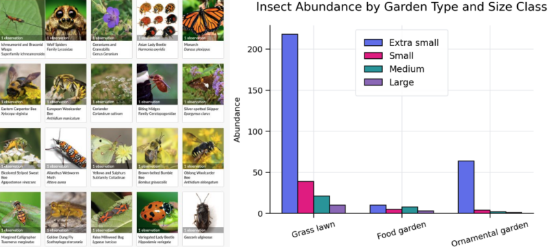A grid of insect images alongside a bar graph of findings from a garden